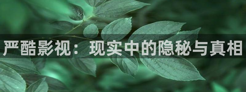 新闻图片